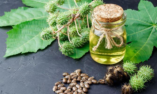 Aceite de ricino y la fertilidad