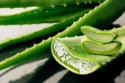 Aloe vera para agrandar el pene