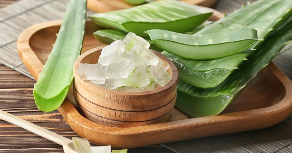 Jugo de aloe vera propiedades